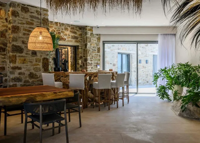 Muse Mansion Mykonos 빌라 오르노스