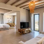 别墅 Muse Mansion Mykonos *