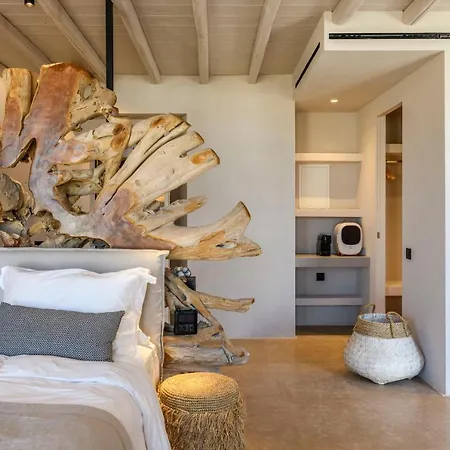 Muse Mansion Mykonos Willa *