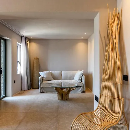 Muse Mansion Mykonos Willa *