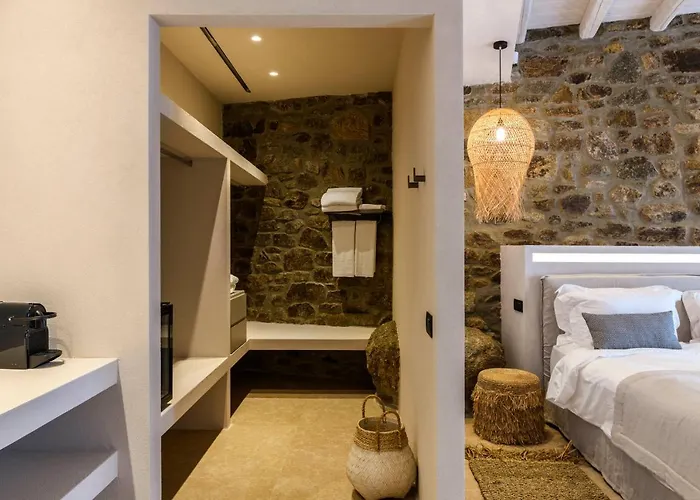 Vila Muse Mansion Mykonos *