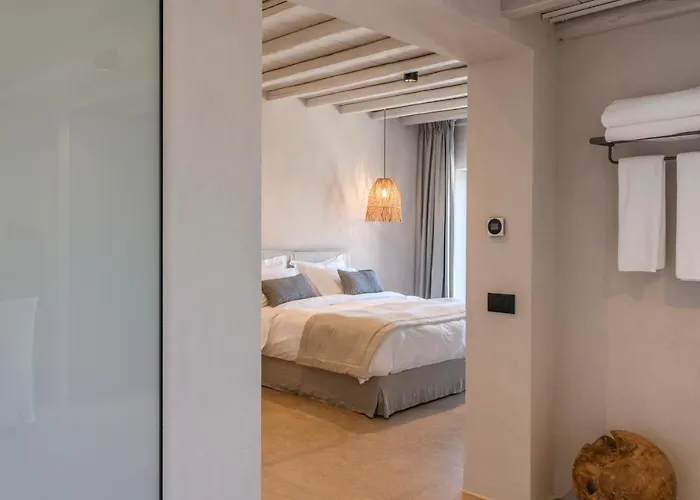 Muse Mansion Mykonos Vila Ornos (Mykonos)